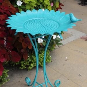 Transform Your Backyard Into A Bird Haven With The Beautiful Range Of Bird Baths & Feeders From Duqaa 🌳